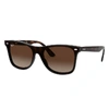 Ray Ban Blaze 141mm Wayfarer Shield Sunglasses - Light Havana Gradient In Tortoise
