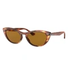 Ray Ban Nina Tortoiseshell G-15 Cat-eye Sunglasses In Tortoise