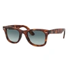Ray Ban Wayfarer Ease Sunglasses Tortoise Frame Blue Lenses 50-22 In Tortoise