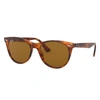 Ray Ban Wayfarer Ii Classic Sunglasses Striped Havana Frame Brown Lenses 55-18 In Striped Havana