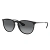 Ray Ban Rb4171 Erika Nylon Acetate Round-frame Sunglasses In Black