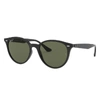 Ray Ban Rb4305 Sunglasses Black Frame Green Lenses Polarized 53-19 In Black