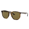 Ray Ban Rb4306 Sunglasses Tortoise Frame Brown Lenses 54-19 In Tortoise
