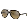 Ray Ban Rb4125m Scuderia Ferrari Collection Sunglasses Tortoise Frame Brown Lenses 57-14 In Tortoise