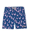 Tom & Teddy Boys' Flamingo Swim Trunks - Little Kid, Big Kid In Rose And Blue