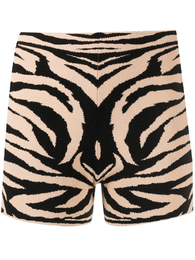 Laneus Zebra Print Shorts In Brown