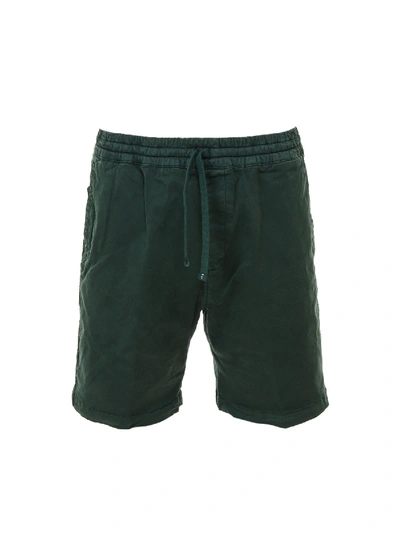 Carhartt Bermuda Shorts In Green