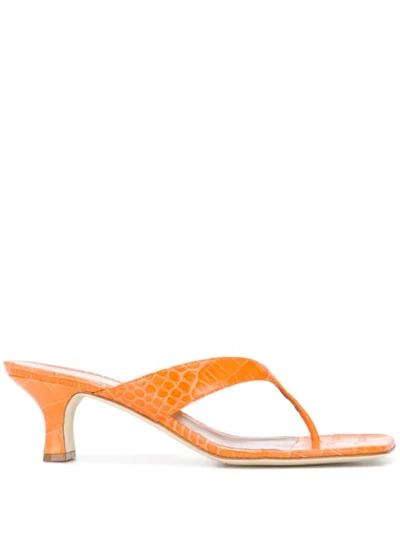 Paris Texas Croc-effect Leather Thong Sandals In Orange