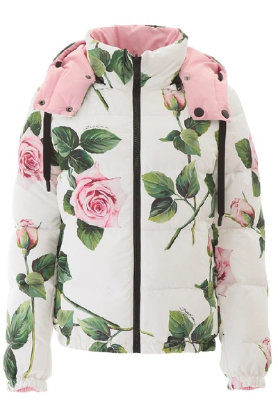 Dolce & Gabbana Floral Printed Puffer Jacket In White