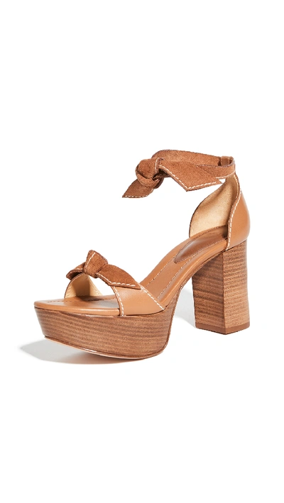 Alexandre Birman 85mm Clarita Mixed Leather Ankle-tie Sandals In Brown