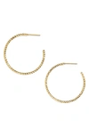 Argento Vivo Textured Hoop Earrings In Gold Vermeil