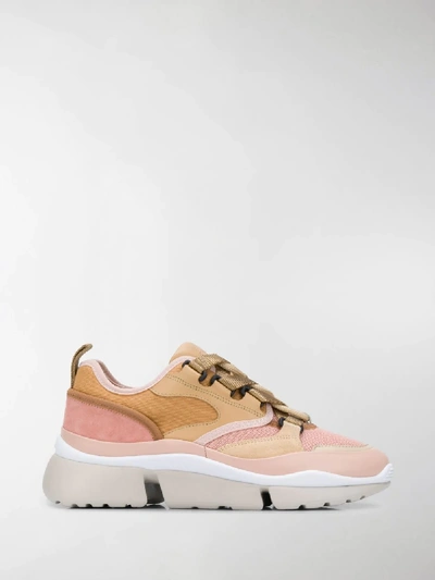 Chloé Pink Blake Low Top Trainers