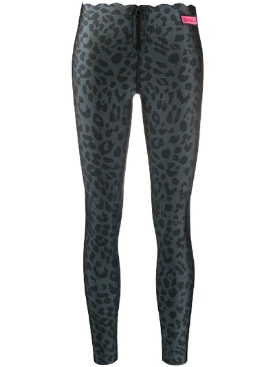 Pinko Leopard Print Leggings In Grey