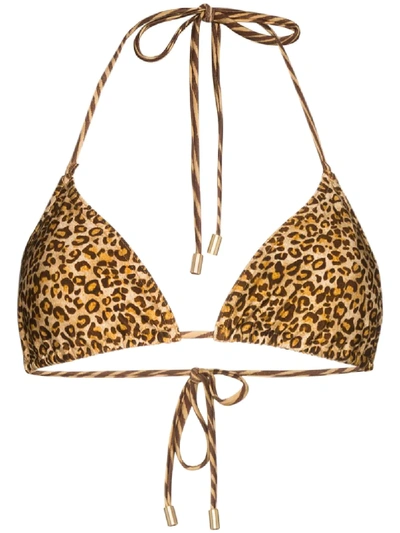 Zimmermann Empire Leopard-print Halterneck Bikini Top In Brown