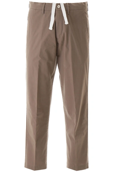 Pt01 Larry Cotton Trousers In Tortora