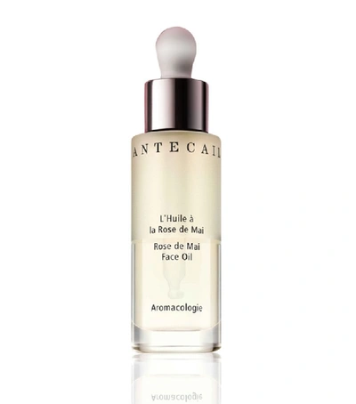 Chantecaille + John Derian Rose De Mai Face Oil, 30ml - One Size In Default Title