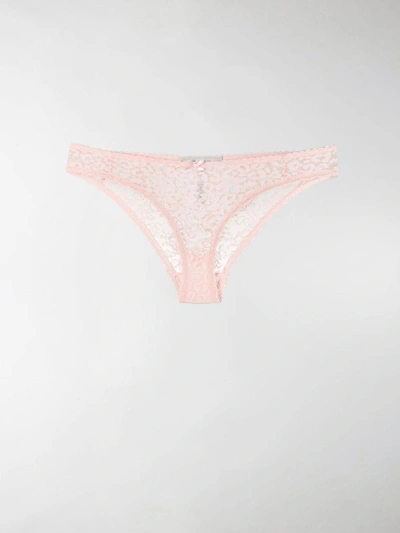 Stella Mccartney Ruby Roaring三角裤 In Pink