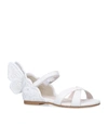 SOPHIA WEBSTER CHIARA BRODERIE SANDALS,15351548