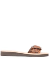 Ancient Greek Sandals Buckle Strap Sandal In Brown