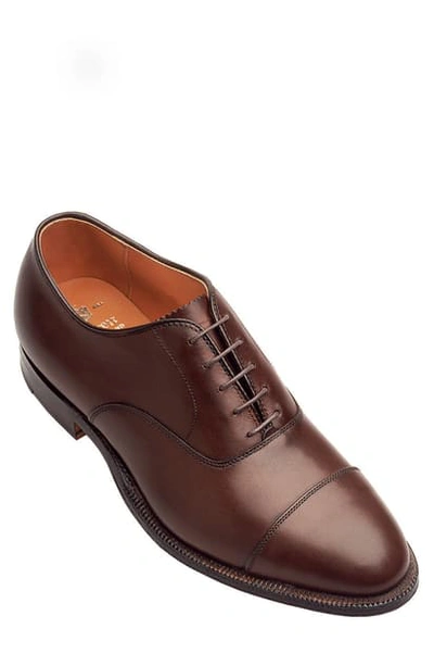 Alden Shoe Company Straight Tip Oxford In Dark Borw