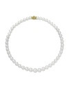 ASSAEL AKOYA 16" AKOYA CULTURED 9.5MM PEARL NECKLACE WITH YELLOW GOLD CLASP,PROD232180231