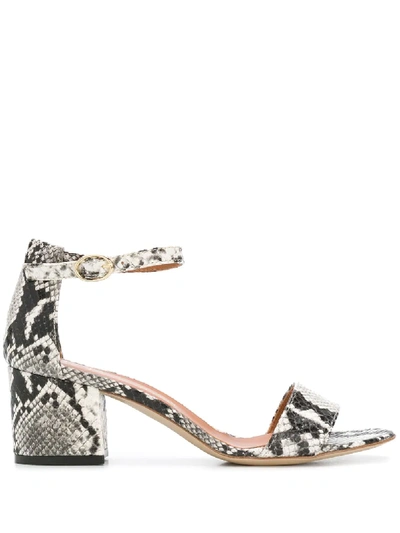 Via Roma 15 Snakeskin Print Sandals In Black