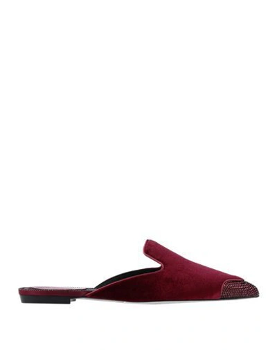 René Caovilla Mules In Maroon