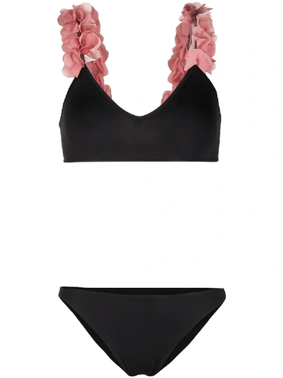 La Reveche Floral-appliqués Bikini Set In Black