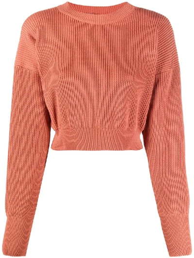 Matthew Adams Dolan Cropped Ribbed Jumper In Brown