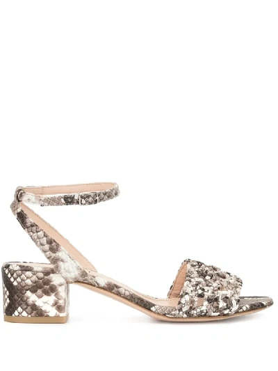 Agl Attilio Giusti Leombruni Woven Snakeprint Sandals In Brown