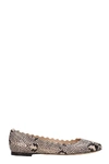 Chloé Lauren Scalloped Snake-effect Leather Ballet Flats In Animalier