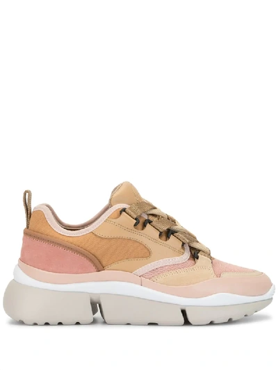 Chloé Pink Blake Low Top Trainers