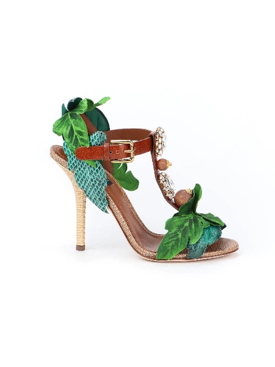 Dolce & Gabbana Sandal In Deserto/smeraldo