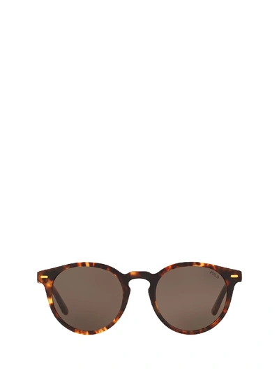 Polo Ralph Lauren Round Tortoiseshell Sunglasses In New Jerry Tortoise/brown