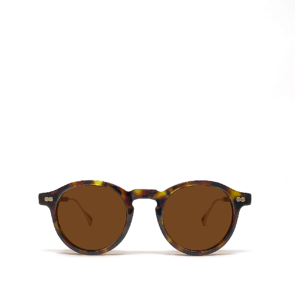 Moscot Miltzen-tt Se Tortoise/gold Sunglasses | ModeSens