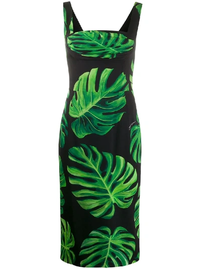 Dolce & Gabbana Leaf Print Fitted Dress In Black/green