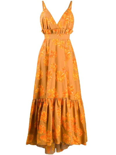 Maria Lucia Hohan Sarina Floral-print Tiered Dress In Brown