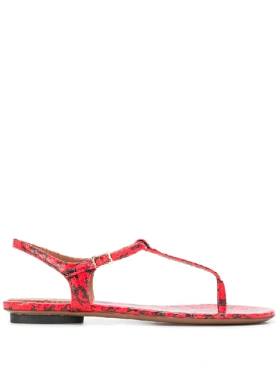 L'autre Chose Croc Effect T-bar Sandals In Red