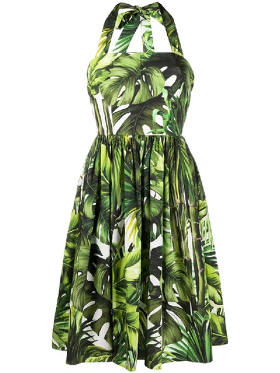 Dolce & Gabbana Jungle Print Halterneck Dress In Green