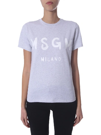 Msgm T-shirt In Grey