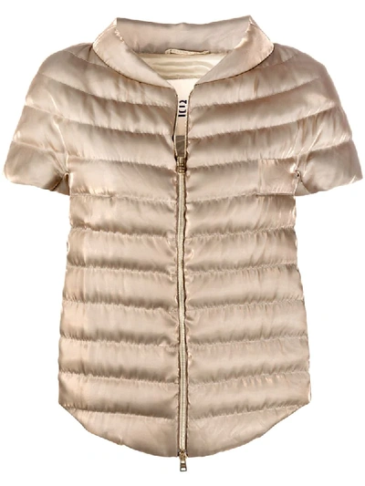 Herno Short-sleeve Puffer Jacket In Gold