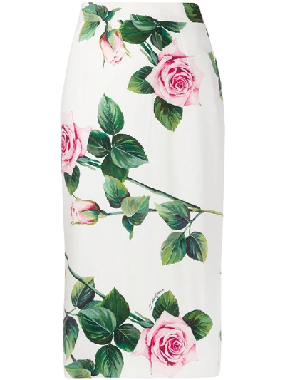 Dolce & Gabbana Skirt Rose In C Rosa Fdo Panna