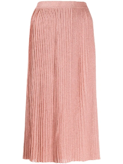 Elisabetta Franchi Celyn B. Knit Skirt In Rosa Antico