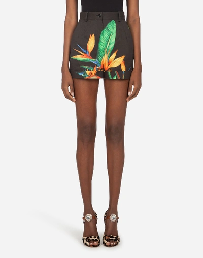 Dolce & Gabbana Shorts In Drill With Bird Of Paradise Print In Floral Print