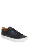 To Boot New York Colton Leather Sneakers In Butterfly Nero