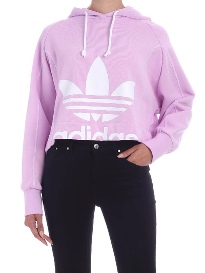 Adidas Originals Cropped Cotton Sweatshirt Hoodie In Purple