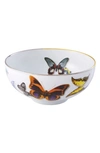 CHRISTIAN LACROIX BUTTERFLY PARADE SOUP BOWL,21123898