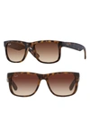 Ray Ban Youngster 54mm Sunglasses In Tortoise