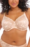 Elomi Full Figure Morgan Banded Underwire Stretch Lace Bra El4110, Online Only In Toasted Almond