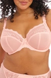 Elomi Charley Full Figure Underwire Convertible Plunge Bra In Ballet Pink